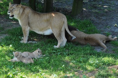 DSC_3017 De familie