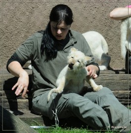 DSC_2237 Olmense Zoo verzorging Welpen