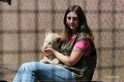 DSC_2241 Olmense Zoo verzorging Welpen