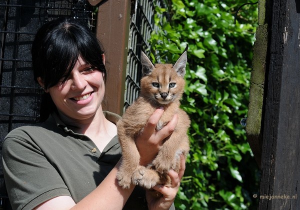 Olmense zoo Blik achter de schermen