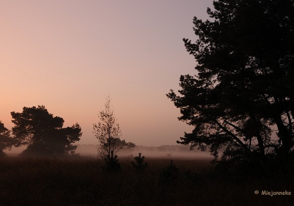 Steden dorpen en plaatsen 2008