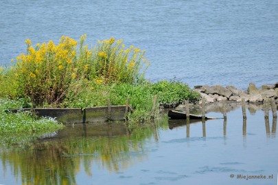 DSC_6896a Een weerspiegeling bij een inham.