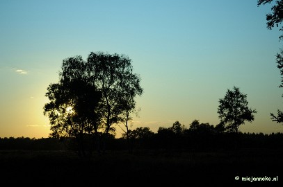 DSC_4477 Leenderheide