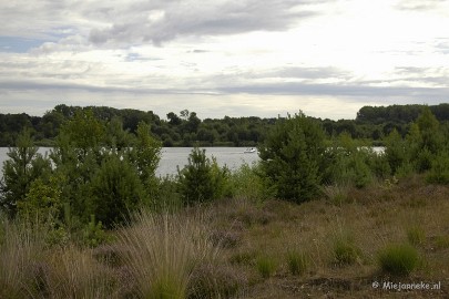 _DSC5644 Wandelen bij het Zilvermeer