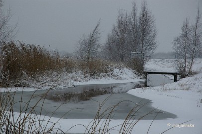DSC_8660a Maar op 5 Januari, een flinke laag sneeuw.