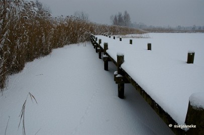 DSC_8667a De steiger maagdelijk wit..