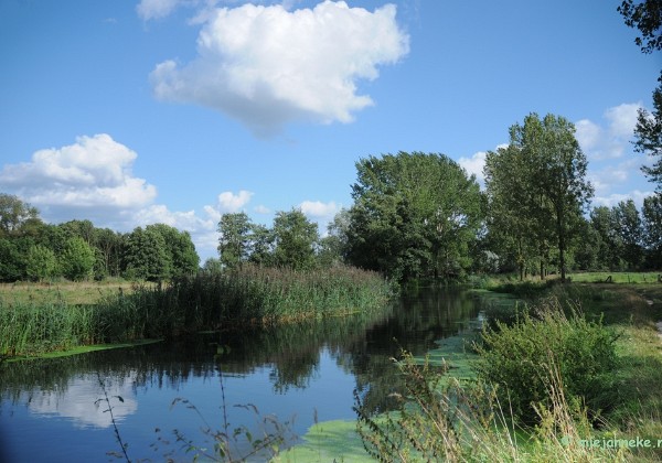 Zoomdag Vlasrootvennen en Dommeldal 2009