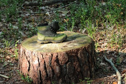 DSC_3317 Paddenstoelen 2009