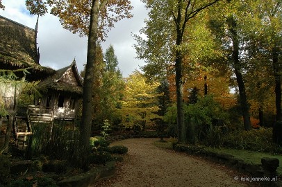 DSC_5892 Herfst in Arcen