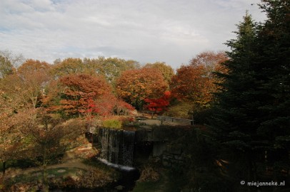 DSC_6594 Herfst in Arcen 2