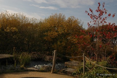 DSC_6601 Herfst in Arcen 2