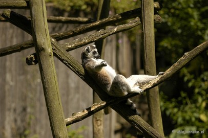 _DSC4932 Arcen
