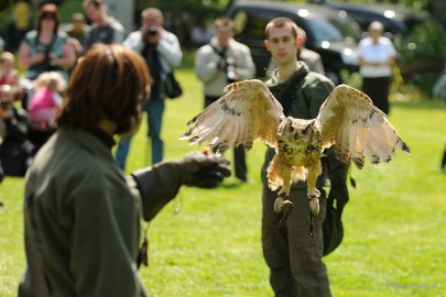 DSC_8780a Zoomdag 9 mei Falcon Crest