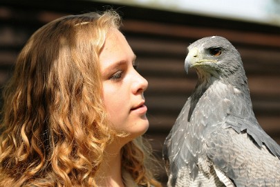 DSC_8855a Zoomdag 9 mei Falcon Crest