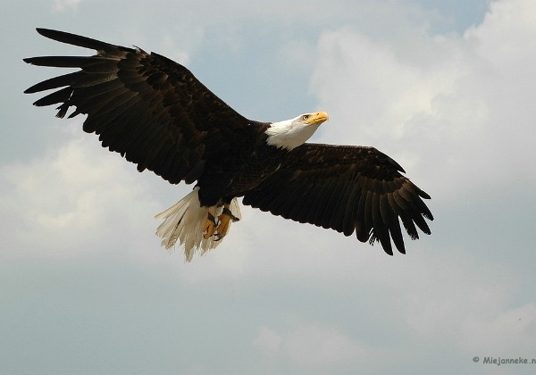 Beekse Bergen 2009