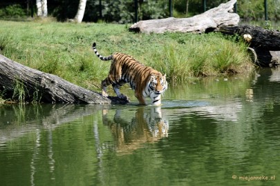 _DSC7935 Avondsafari 22 augustus