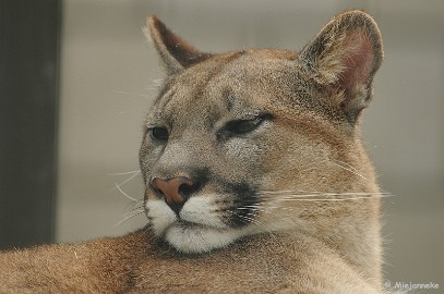DSC_0027a Best Zoo