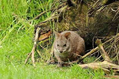 DSC_0079 Best Zoo