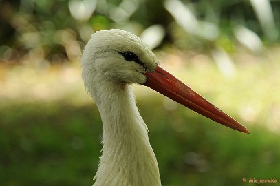 DSC_9974 Best Zoo