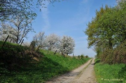 DSC_3060 Haspengouw bloesemroute