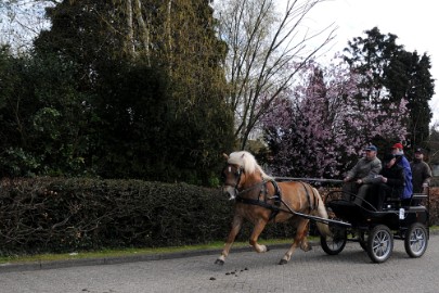 DSC_0849 Op weg naar Hamont-Achel