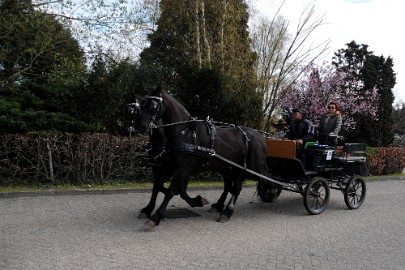 DSC_0882 Op weg naar Hamont-Achel