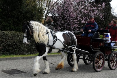 DSC_0895 Op weg naar Hamont-Achel