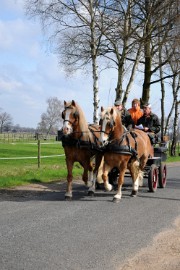 DSC_0932 Op de Asbroek weg voor een appeltje