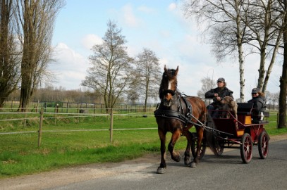 DSC_0947 Op de Asbroek weg voor een appeltje
