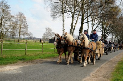 DSC_0953 Op de Asbroek weg voor een appeltje