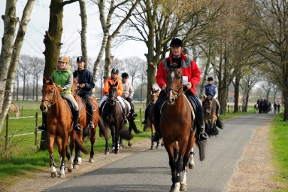 DSC_0996 Op de Asbroek weg voor een appeltje