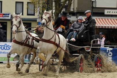 DSC_1402 Capucijnerplein demonstratie Spaanse paarden.