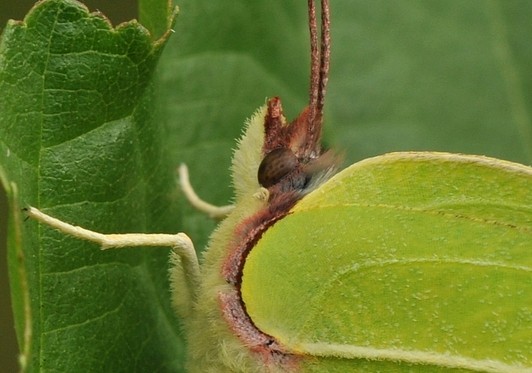 Natuurtuin Augustus 1