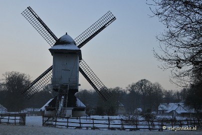 _DSC3099 Bokrijk by Night