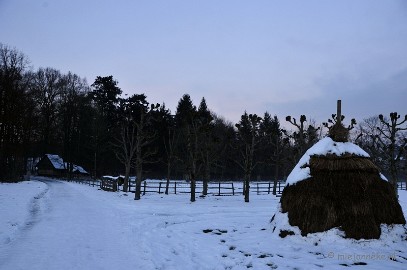 _DSC3121 Bokrijk by Night