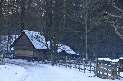 _DSC3122 Bokrijk by Night