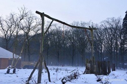 _DSC3125 Bokrijk by Night