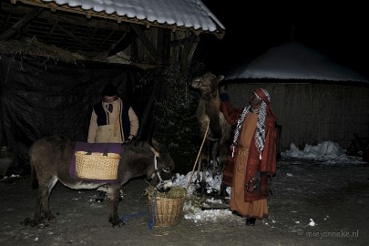 _DSC3017 Eynder Winter Festival 2010