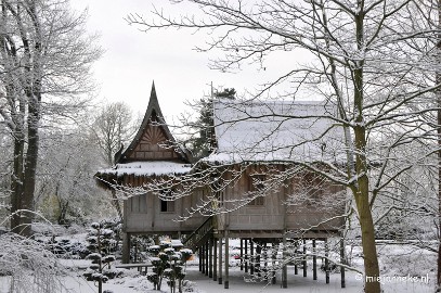 _DSC1811 Winterwonderland Arcen