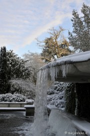 _DSC1911 Winterwonderland Arcen