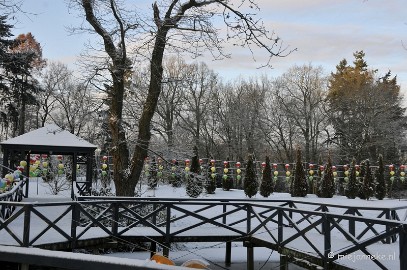 _DSC1933 Winterwonderland Arcen