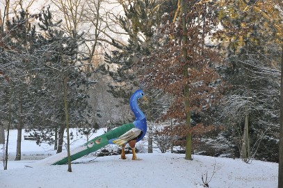 _DSC1937 Winterwonderland Arcen