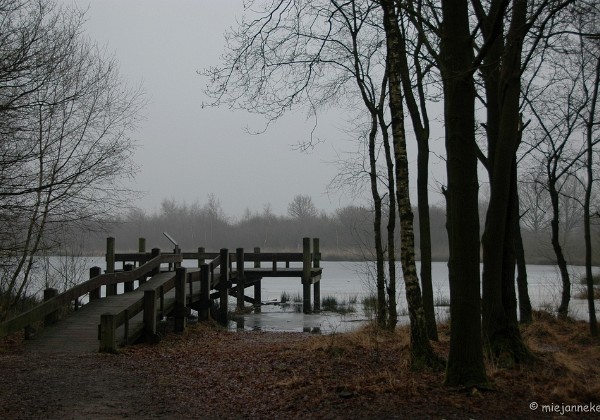 Ochtendwandeling De Grote Peel Februari