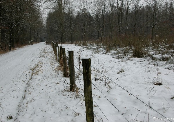 Ochtendwandeling de Luysen Februari