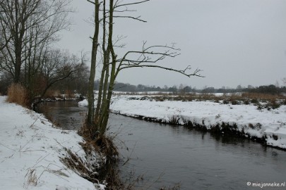 DSC_7834 Snertwandeling 10 januari