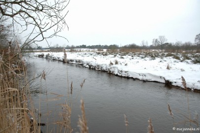 DSC_7844 Snertwandeling 10 januari