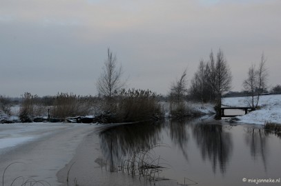 DSC_8011 Winter Budel-Dorplein