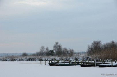 DSC_8043 Winter Budel-Dorplein