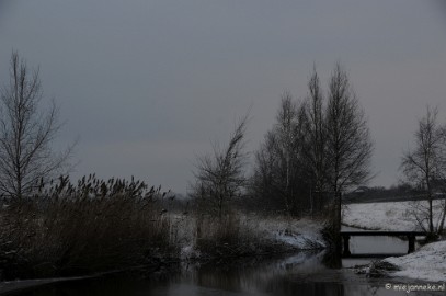 DSC_8053 Winter Budel-Dorplein