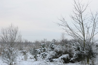 DSC_8123 Winter Budel-Dorplein